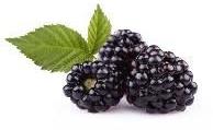 blackberries