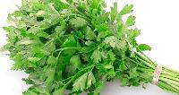 Parsley Leaves