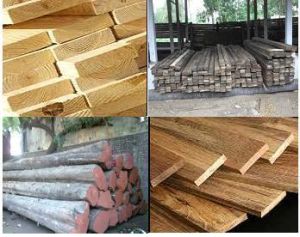 Lumber Wood