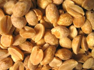 dry roasted peanuts