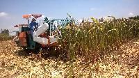 Maize Combine Harvester