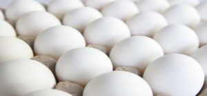 White Eggs