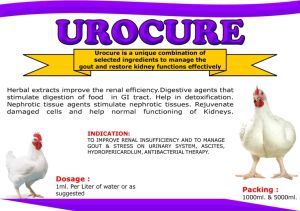 Urocure Kidney Flusher