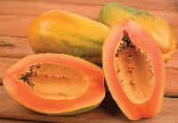 Fresh Papaya