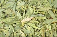 Dried Senna Leaves