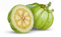 Garcinia Cambogia