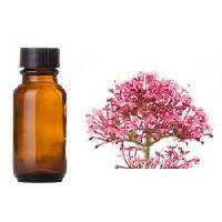 Valerian Oil