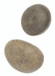 Grinding Stones