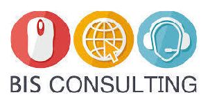 BIS Consultancy Services