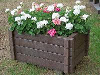 Flower Planter