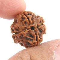 Rudraksha Beads