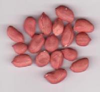 Peanut Kernels