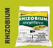 Rhizobium Biofertilizers