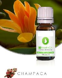 CHAMPACA ESSENTIAL OIL Magnolia champaca