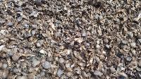 Palm Kernel Shell