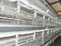 Battery Cages for Broiler