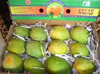 kesar mango