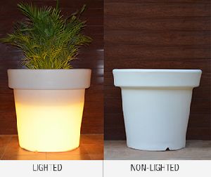 Circum Planters