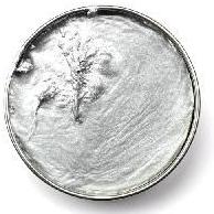 Silver Pearl Paste