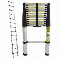 Telescopic Ladder