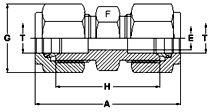 Stainless Steel Union