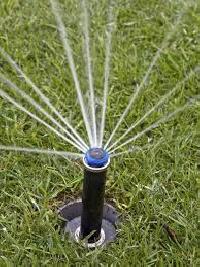 Rotary Sprinkler Head