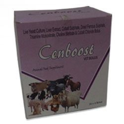 Cenboost Bolus