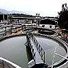 Clarifier Peripherally Driven