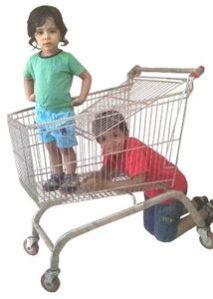 Shopping Trolley