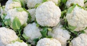 Fresh Cauliflower