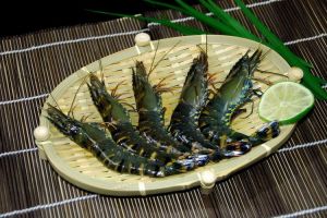 Frozen Black Tiger Prawn