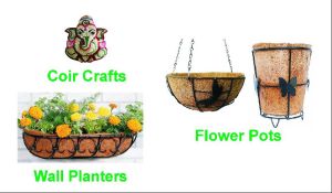 Coir Flower Pot