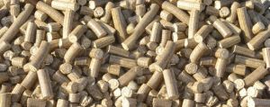 Bio Coal Briquettes