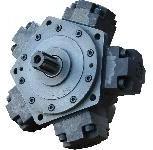 Radial Piston Hydraulic Motor