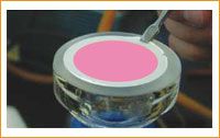 Edge Hydrophobic Filters