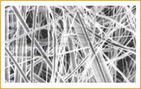 Membrane Filters