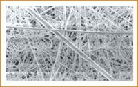 Micro Glass Fiber Filters