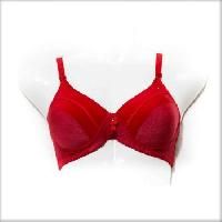 Ladies Padded Bra