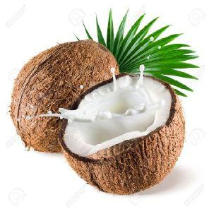 Fresh Coconut