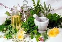 ayurvedic medicinal herbs