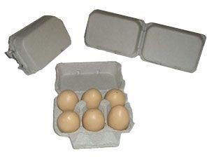 pulp egg trays