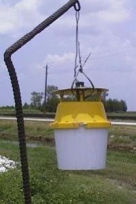 Insect Sticky Traps / Pheromone Trap