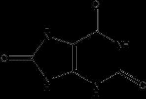 Uric Acid