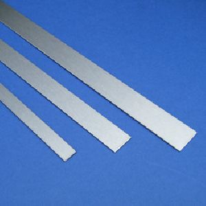 Stainless Steel Strips