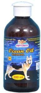 Ocean Oil