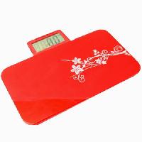 Portable Personal Scale