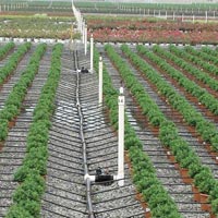 Drip Irrigation System Installation