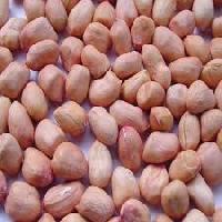 Groundnut Kernels