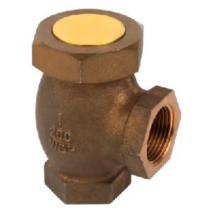 Spring Check Valve