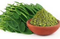 Moringa Products